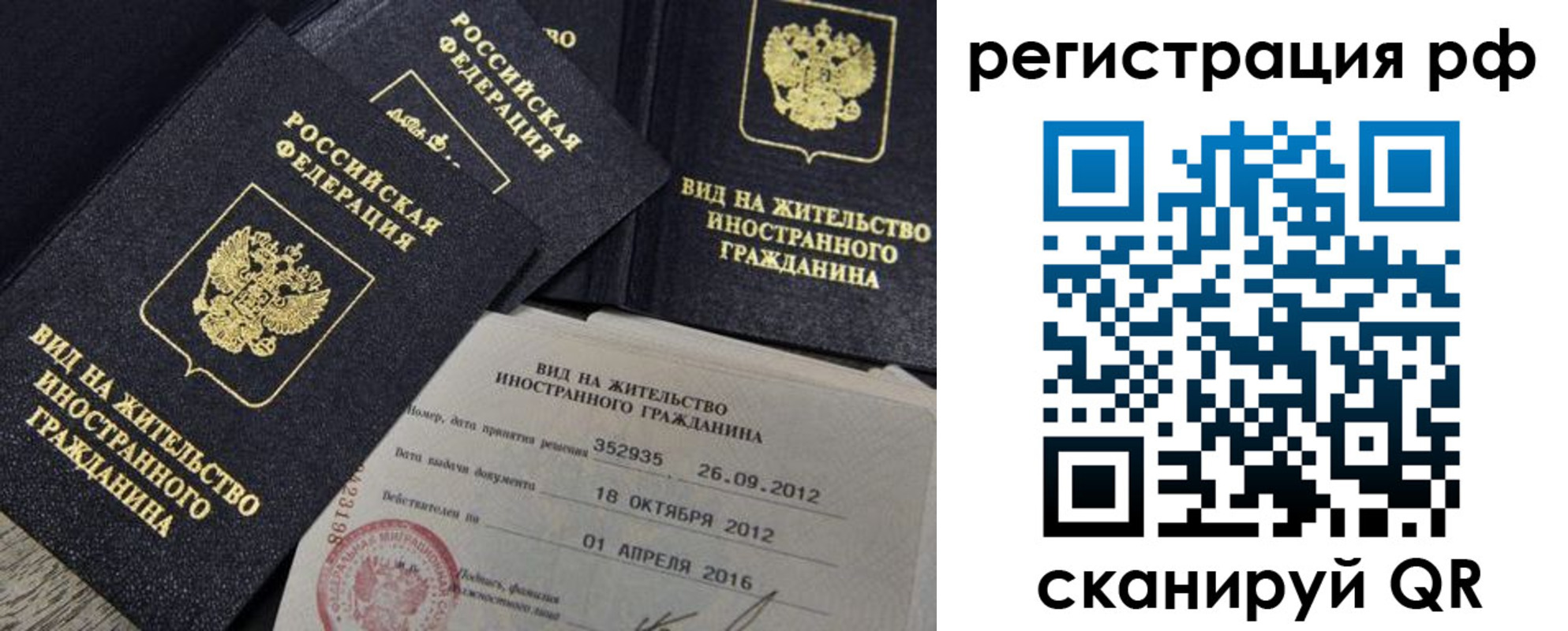 где прописаться в Ельне
